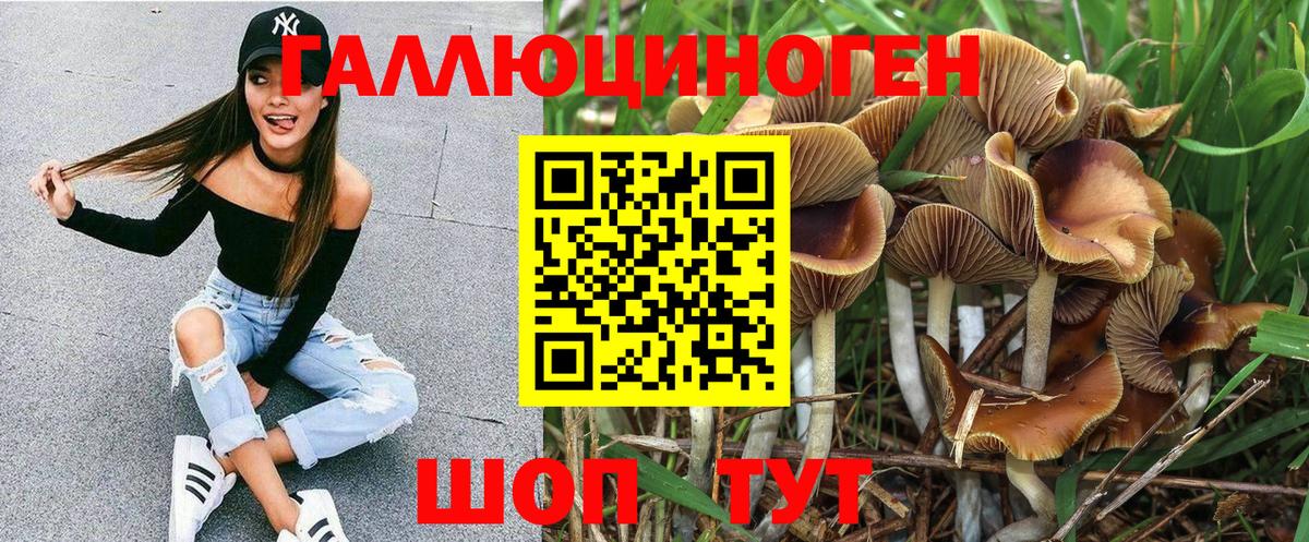 Краснокаменск  Галлюциногенные грибы мицелий  Вход с VPN  Галлюциногенные грибы прущие грибы 